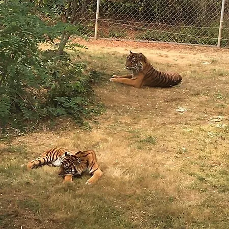 « chez Annie » Couette-café Doué-la-Fontaine