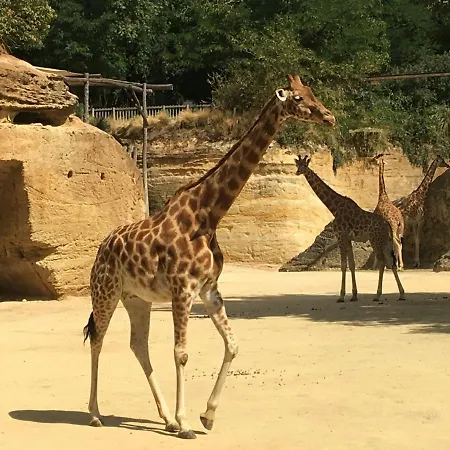 « chez Annie » Bed & Breakfast