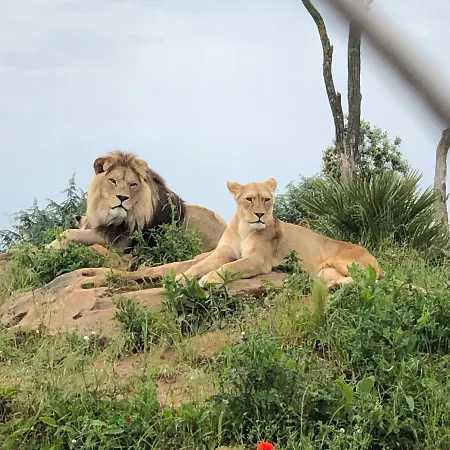 « chez Annie » 3*