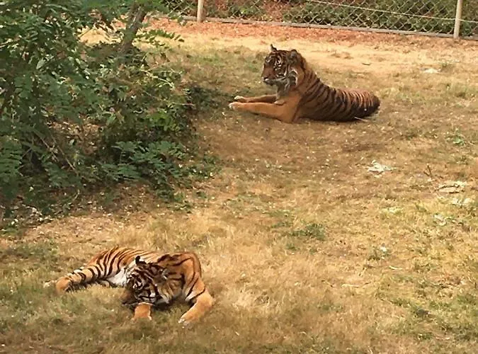  chez Annie  Panzió Doué-la-Fontaine