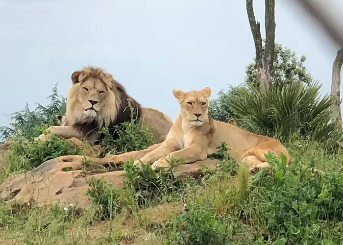 « chez Annie » 3*